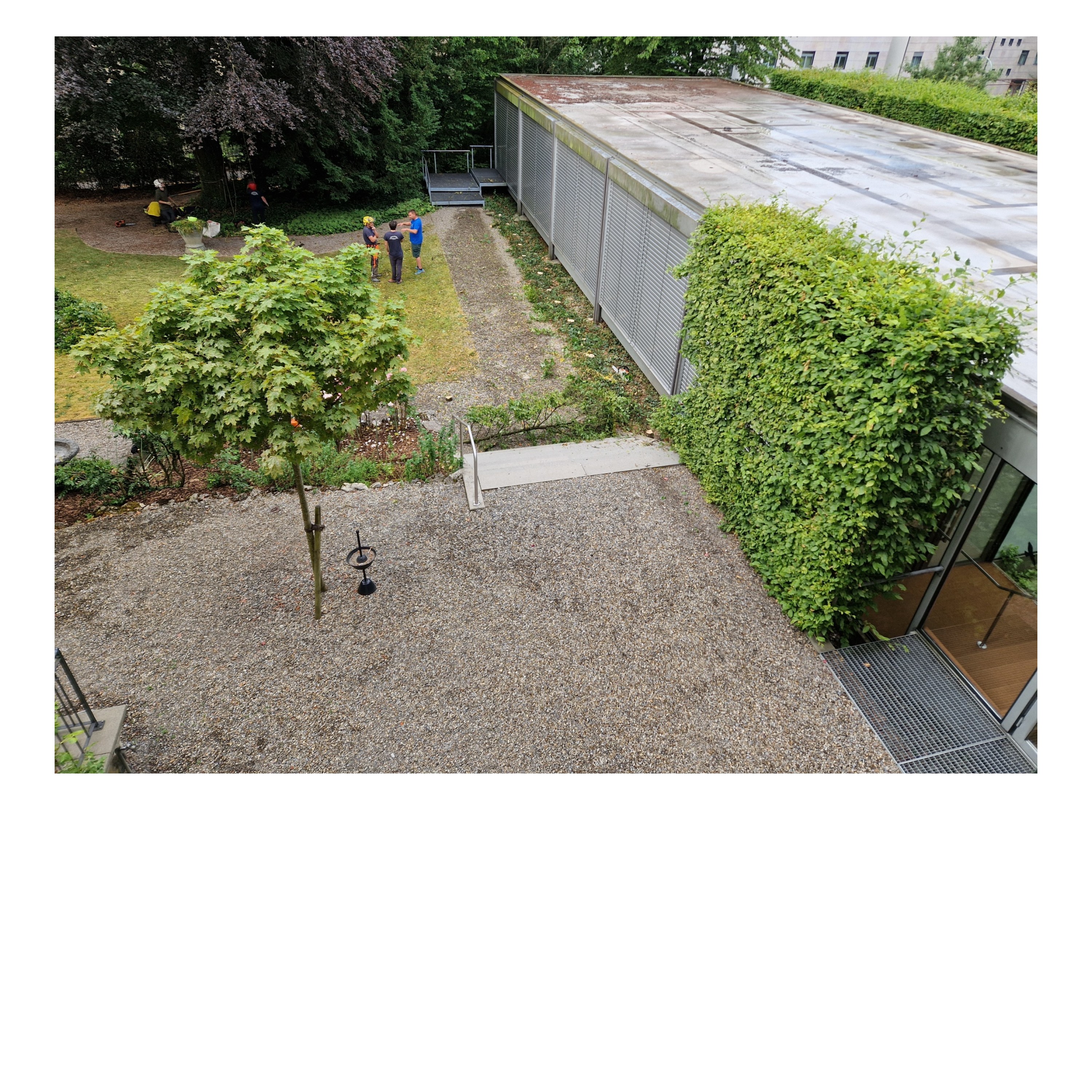 Tout d'abord, la haie est retirée