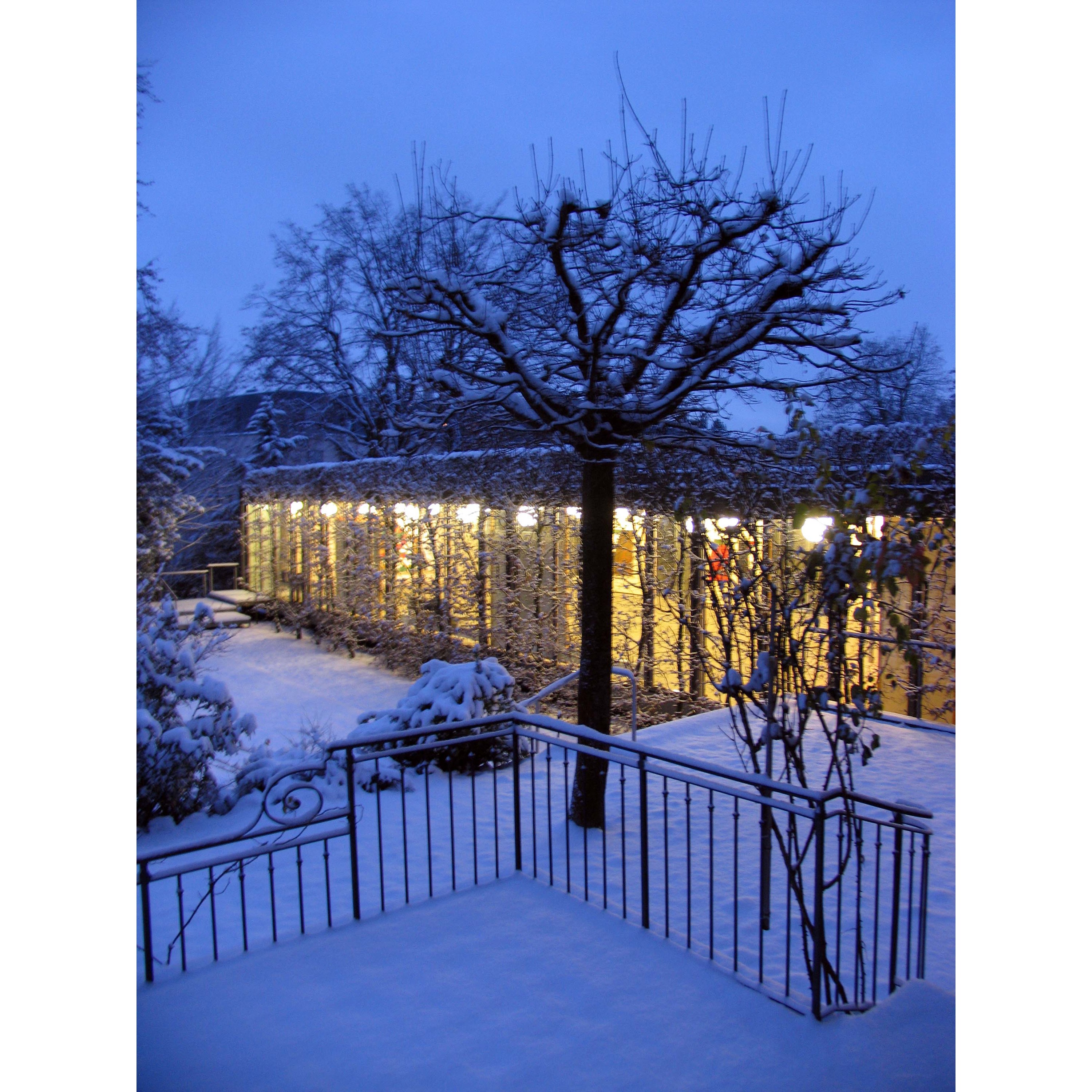 Le pavillon en hiver