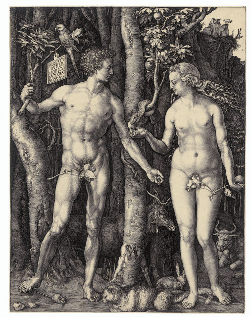 Albrecht Dürer  : Adam und Eva , 1504 