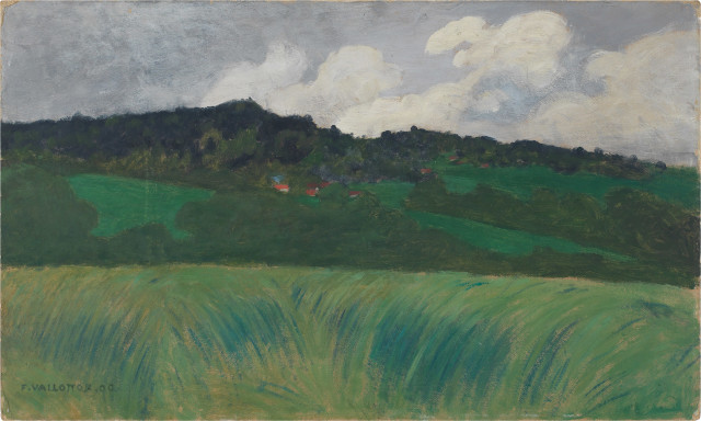 Félix Vallotton : Paysage à la Naz, 1900 