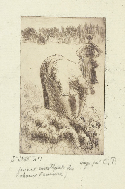 Camille Pissarro : Femme cueillant des choux, 1888. 