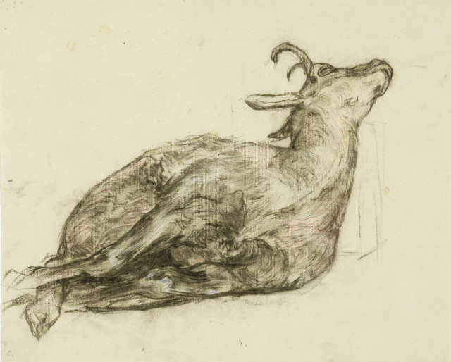 Giovanni Giacometti  : Eine tote Gämse , Um 1895. 
