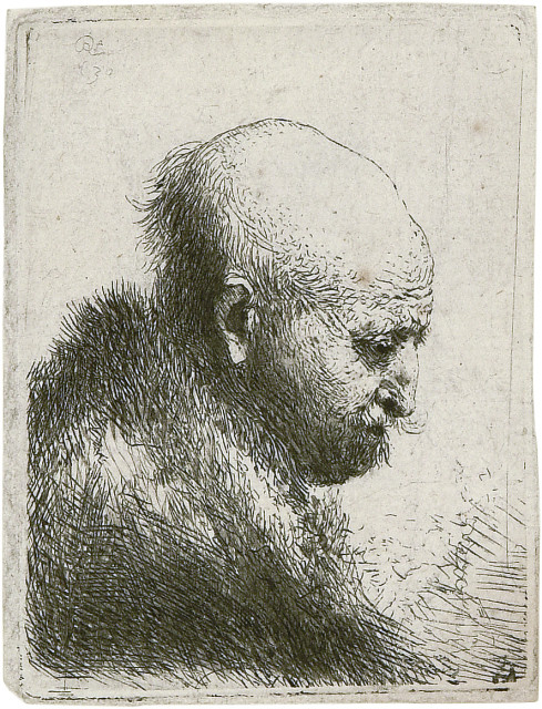 Rembrandt Harmensz. van Rijn : Kahlkopf, nach rechts gewendet - Vielleicht ..., 1630 