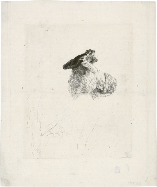 Rembrandt Harmensz. van Rijn : Greis, die linke Hand zum Barett führend, Um 1639 