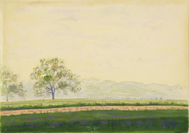 Albert Trachsel : Paysage avec deux arbres et le Salève, Um 1905-1910 