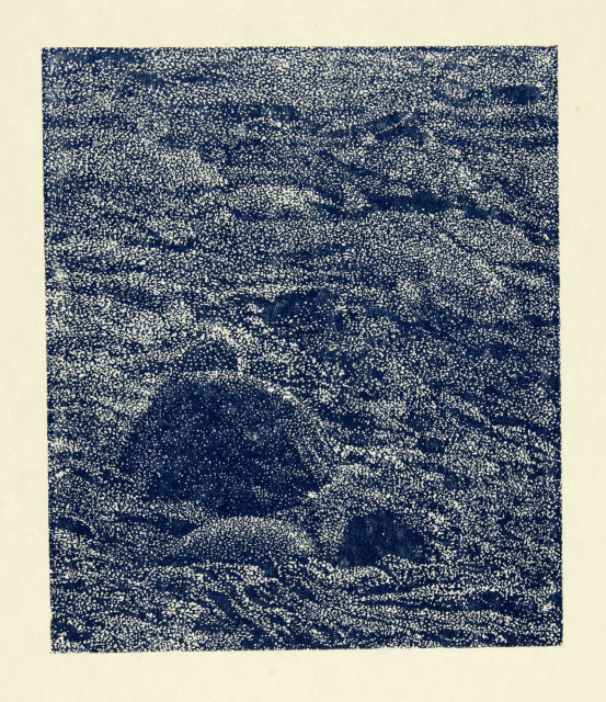 Franz Gertsch  : Am Schwarzwasser , 1991 
