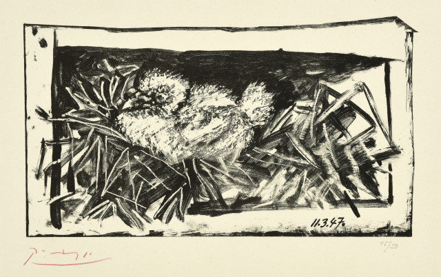 Pablo Picasso : Pigeonneau dans son nid, 11. März 1947 