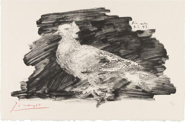 Pablo Picasso  : Le Pigeon blanc , 1947 