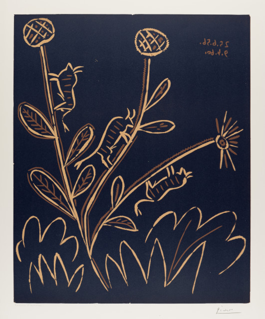 Pablo Picasso : Plante aux toritos, 1959/1960 