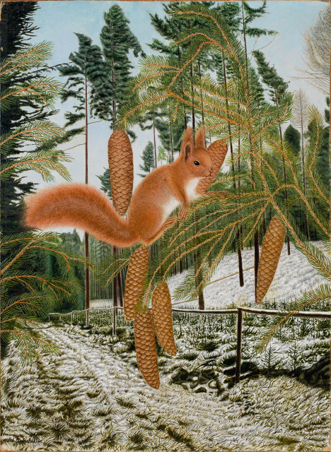 Adolf Dietrich : Eichhörnchen auf Tannenast im Winter, 1936 