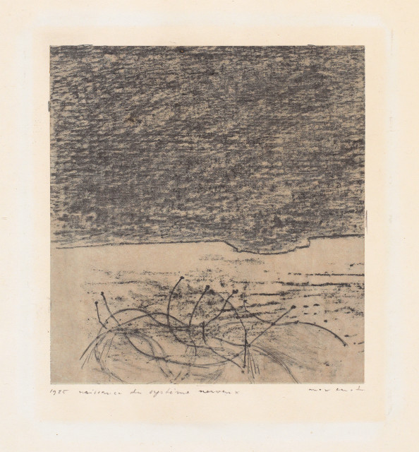 Max Ernst  : naissance du système nerveux , 1925 