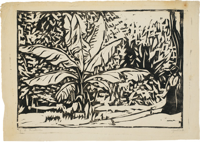 Ernst Ludwig Kirchner  : Musapflanze im Park (Bürgerwiese in Dresden) ..., 1906 