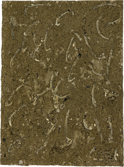 Günther Uecker  : Aschebilder , 1987 