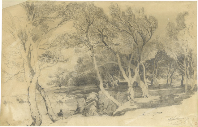 Alexandre Calame  : Pinède sur l'île St. Honorat près de  ..., 1853 