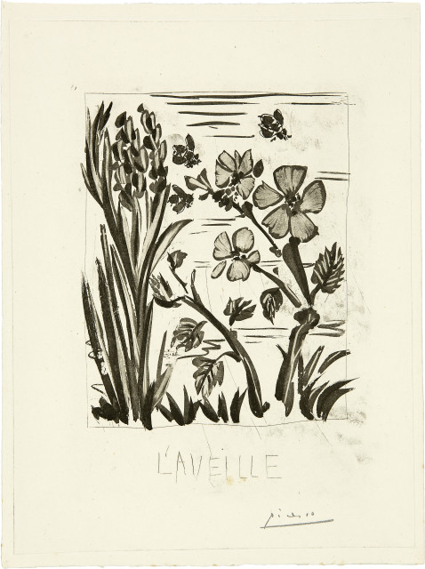 Pablo Picasso  : L'Aveille (L'Abeille) , 1936 