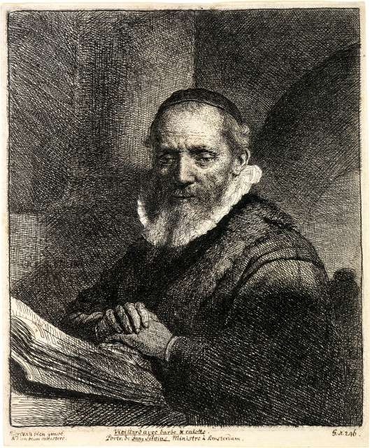 Rembrandt Harmensz. van Rijn  : Jan Cornelius Sylvius , 1633 