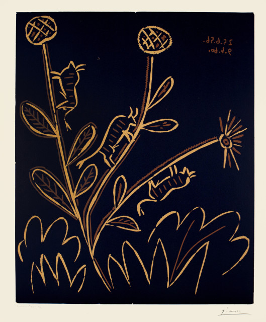 Pablo Picasso : Plante aux toritos, Cannes, 25 June 1959