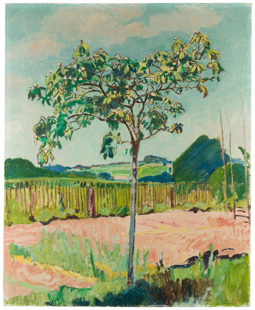 Cuno Amiet : Quitten-Bäumchen, 1927