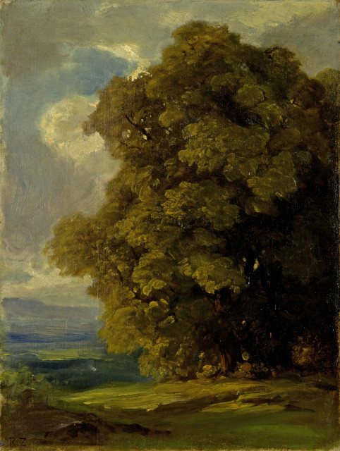 Robert Zünd  : Baumstudie ,  