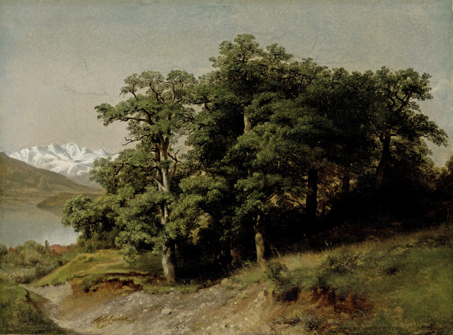 Alexandre Calame  : Vue d'Oberhofen , Um 1836-1843 