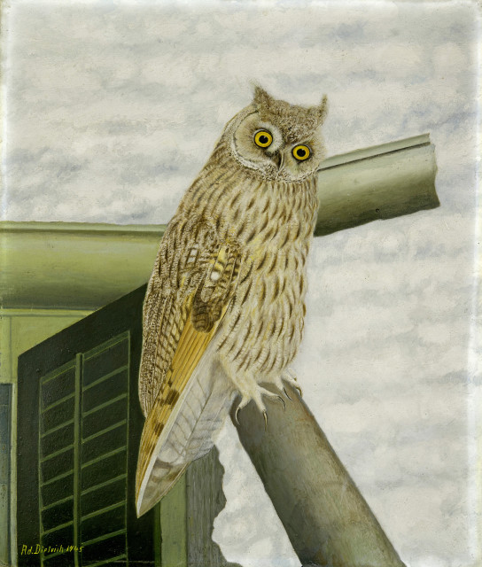 Adolf Dietrich  : Eule im Winter , 1945