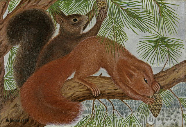 Adolf Dietrich  : Zwei Eichhörnchen , 1933 