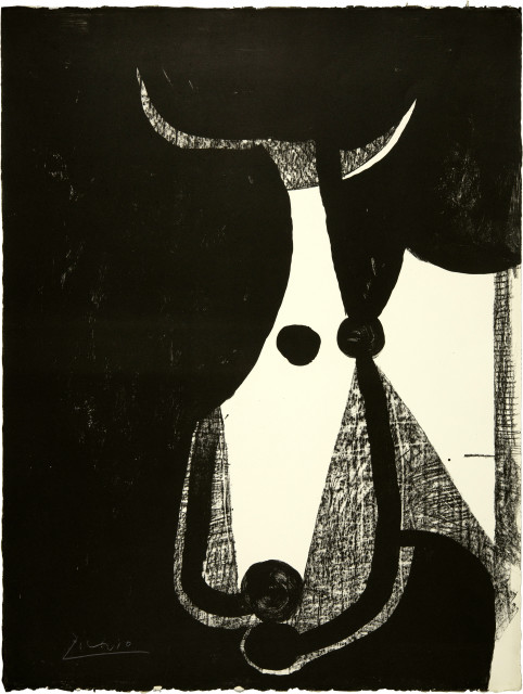 Pablo Picasso  : Tête de taureau, tournée à droite , November 1948
