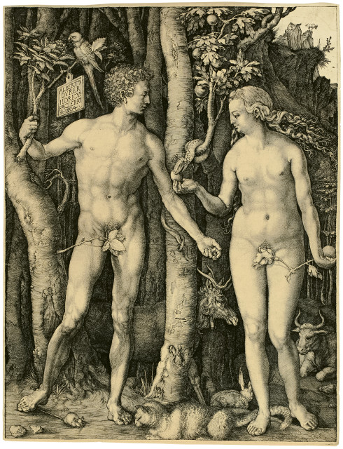 Albrecht Dürer  : Adam und Eva , 1504