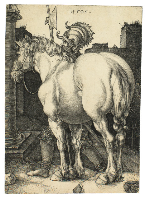 Albrecht Dürer : Das grosse Pferd, 1505