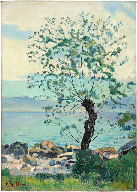 Ferdinand Hodler  : Weidenbaum am Genfersee , Um 1891 