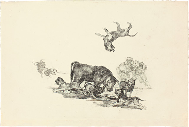 Francisco de Goya : Bull attacked by Dogs - Taureau attaqué par ..., Bordeaux, Autumn 1825
