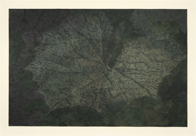 Franz Gertsch  : Pestwurz IV , 1993-1994