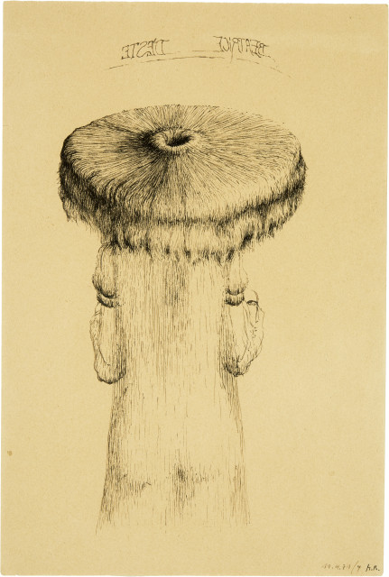 Markus Raetz  : Beatrice d'Este , 1971 