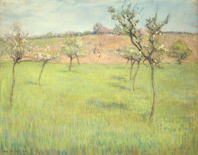 Edouard Vallet : Verger en fleurs, 1904