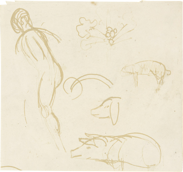 Paul Gauguin  : Skizzenblatt mit mehreren Schweinen und  ..., 1887-1888