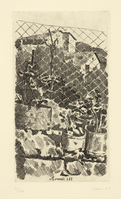 Giorgio Morandi  : Piante di gerani e rete di filo di ferro , 1928