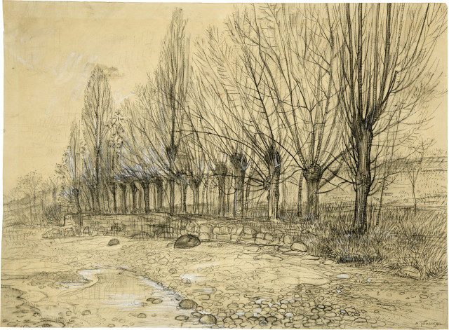 Albert Trachsel : Weidenbäume am Flussufer,  
