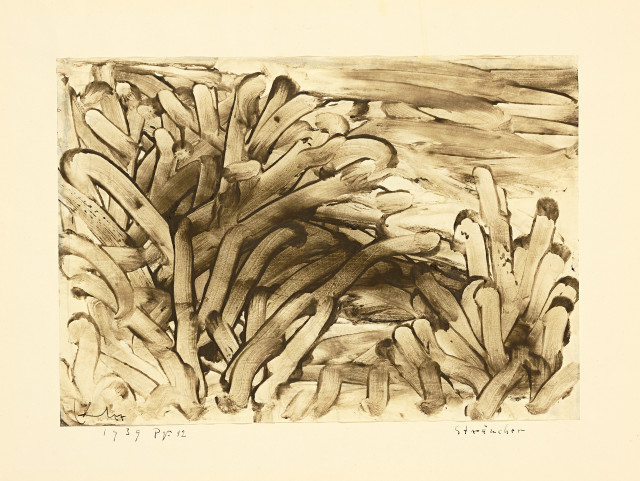 Paul Klee : Sträucher, 1939 - work number 1939.1252 (PQu 12)