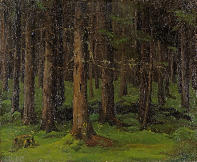 Félix Vallotton  : Sous-bois, environs de Lausanne , Um 1882-1883 