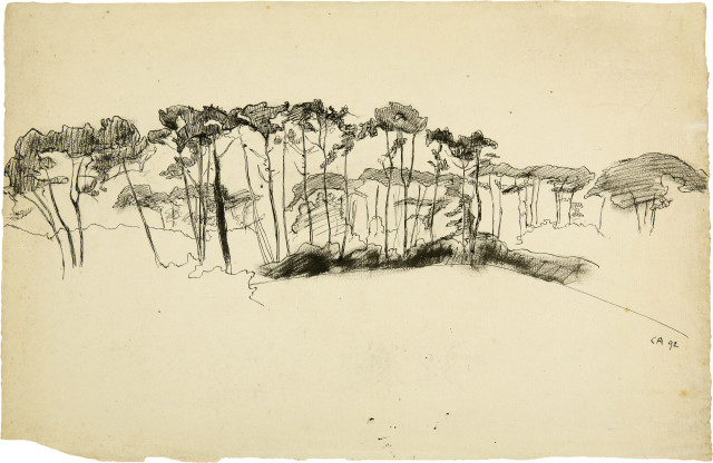 Cuno Amiet : Föhrenwald, 1892