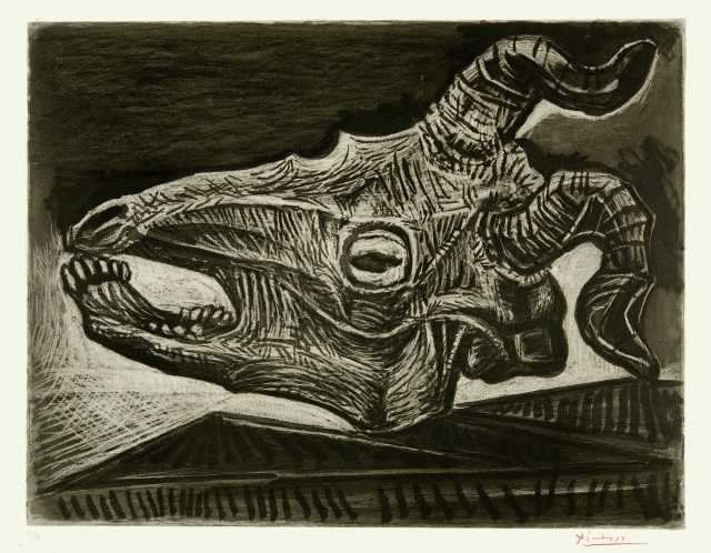 Pablo Picasso : Crâne de chèvre sur la table, Paris, 17-20 January 1953