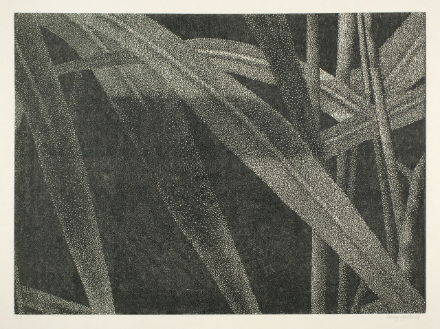Franz Gertsch  : Ausschnitt aus Gräser I , 2002 