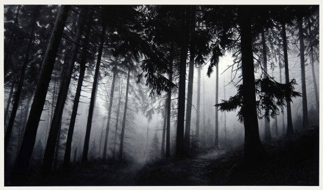 Robert Longo : Fairmount Forest, 2014