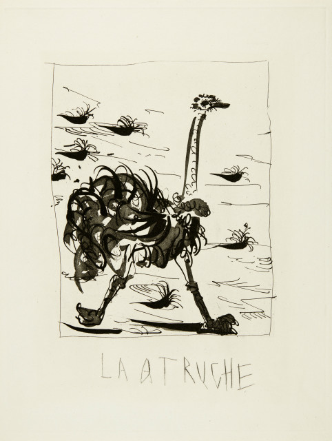 Pablo Picasso  : L'autruche, zu Bouffon , Paris, 1936