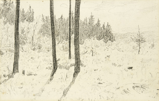 Albert Anker : Waldlichtung / 5 Handstudien (rückseitig),  
