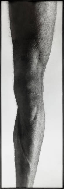 Balthasar Burkhard  : Das Knie , 1983
