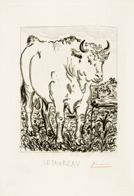 Pablo Picasso  : Le taureau , Paris, 1936 
