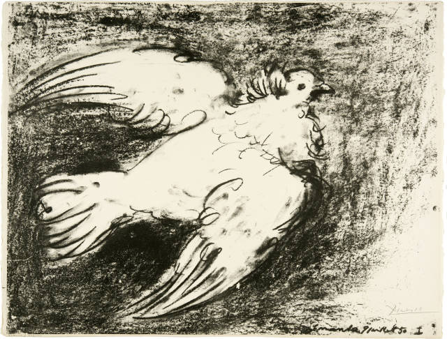 Pablo Picasso : La colombe en vol. Fond noir, Vallauris, 9 July 1950