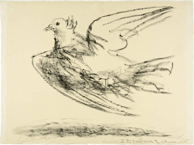 Pablo Picasso  : Le vol de la colombe , Vallauris, 9 July 1950