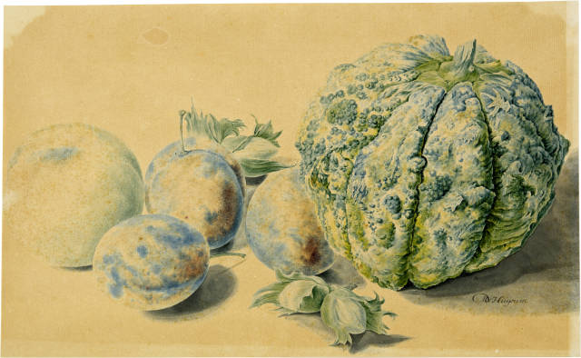 Michiel van Huysum : Pfirsiche, Haselnüsse und Zierkürbis, Circa 1760